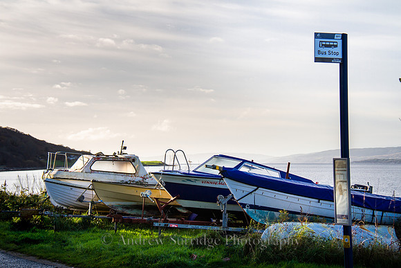 IMG_7167-Edit
