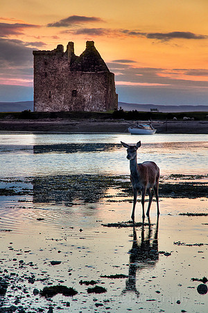 Night Life, Lochranza-2