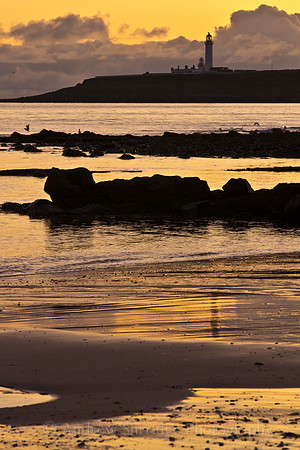 Pladda Gold