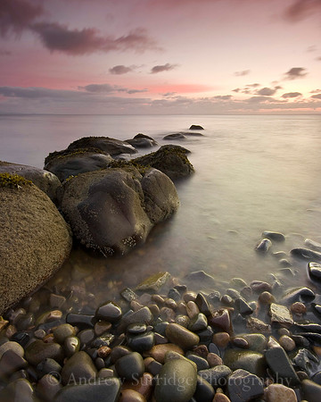 Violet dawn