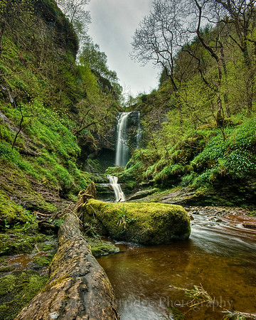 Glenashdale Falls-2