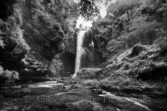 Glenashdale Falls Mono