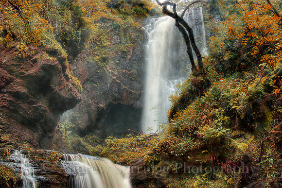 Autumn, Glenashdale