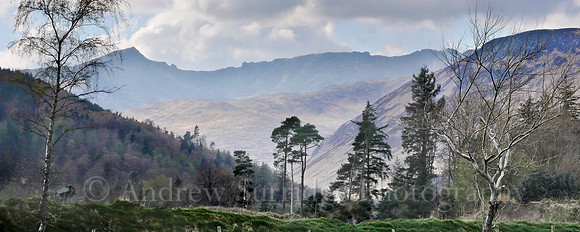 Glenrosa