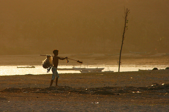 Evening Catch