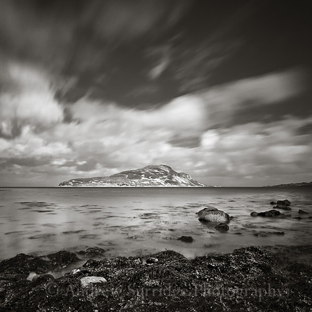 Holy Isle Mono