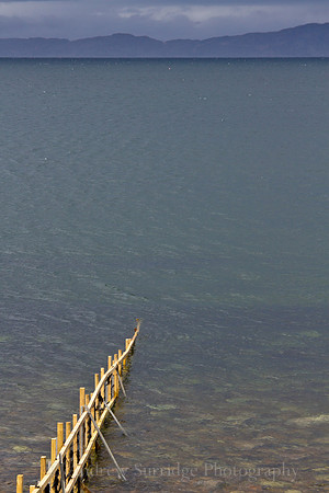 Towards the Horizon, Applestock