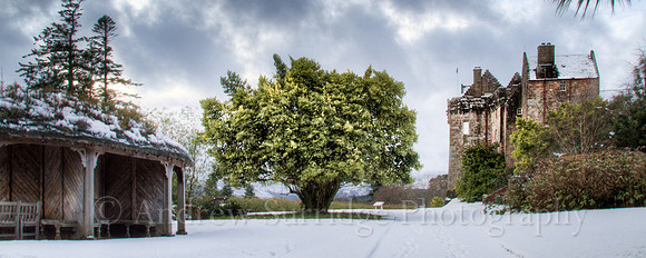 _MG_0880_1_2