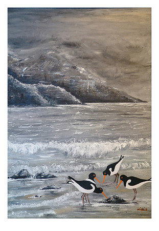 Oyster Catchers and Holy Isle