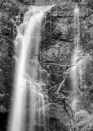 After_the_Rain_2_x_3-mono