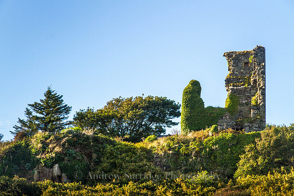 Kildonan Castle