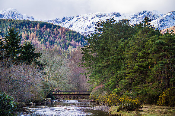 Rosa Burn, Brodick