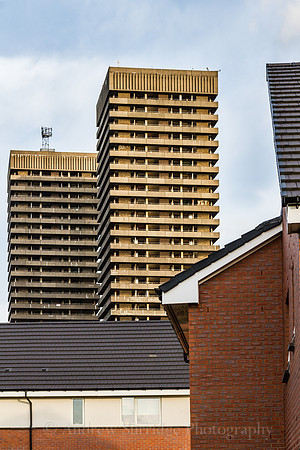 IMG_1403-Edit