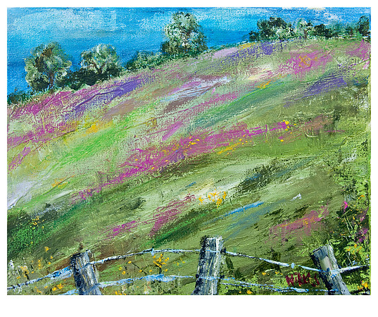 Field in Springtime