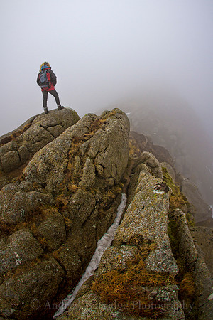 _MG_1010-Edit