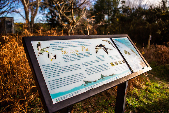 Sannox wildlife sign