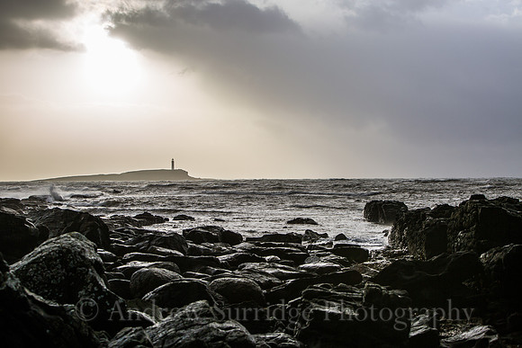 Winter Light - Pladda
