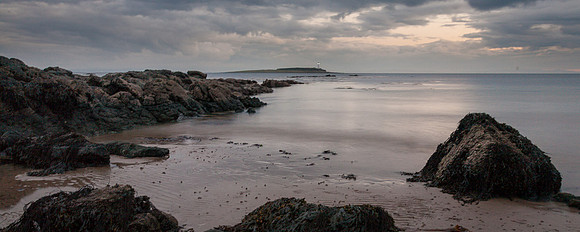 Gill Reynolds