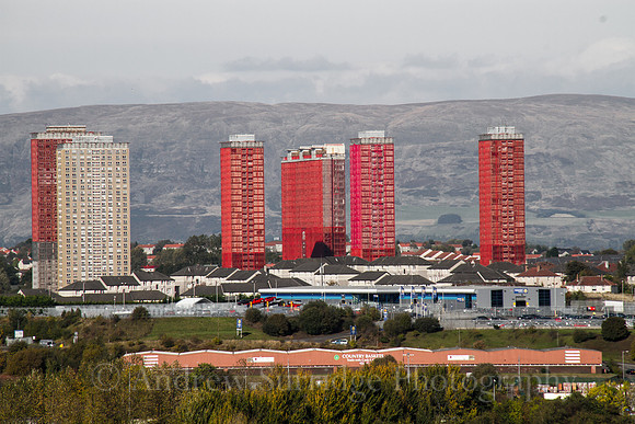 IMG_1262