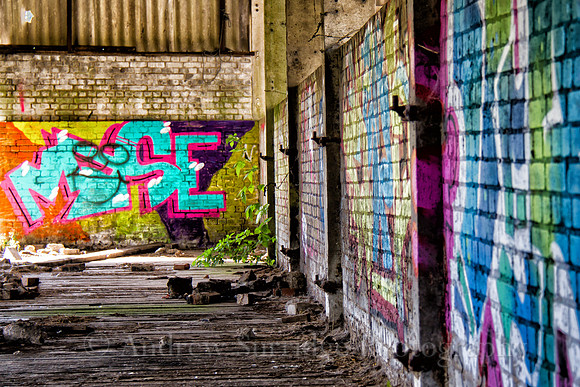 IMG_1237-Edit
