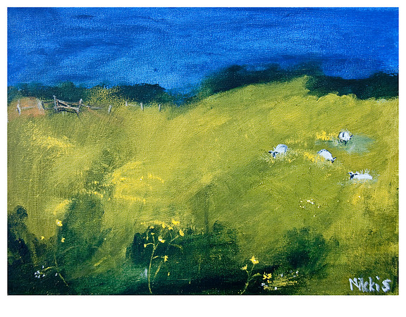 Resting Sheep