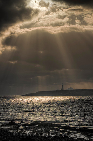 Pladda Sunburst