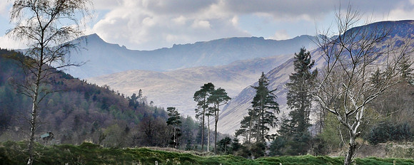 Glenrosa